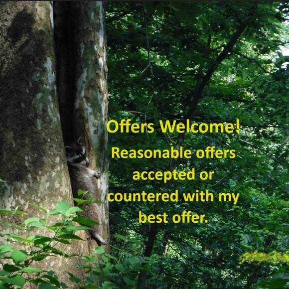 I. Godinger & Co. Small Porcelain Jug Pitcher - Picture 11 of 11